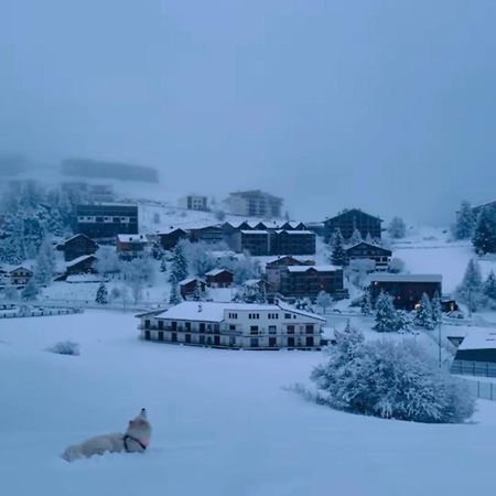 Studio Lumineux Avec Vue Et Acces Sur Les Pistes ! Coup De Coeur Valberg Exterior photo